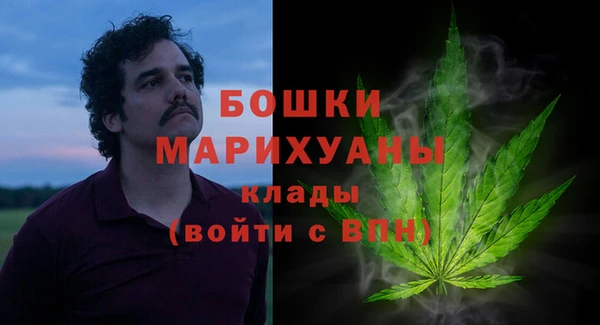 прущие грибы Баксан