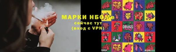 прущие грибы Баксан