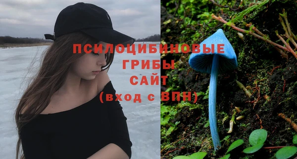 прущие грибы Баксан
