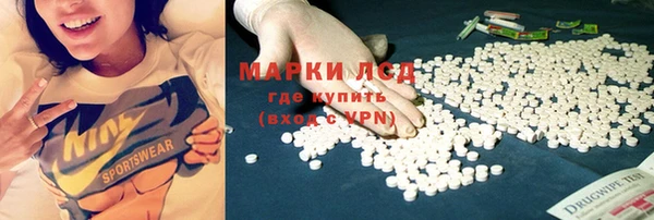 прущие грибы Баксан
