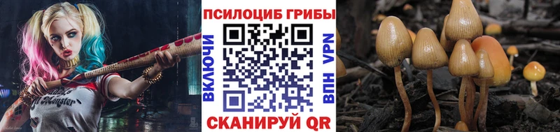 закладка  даркнет телеграм  Псилоцибиновые грибы Magic Shrooms  Облучье 